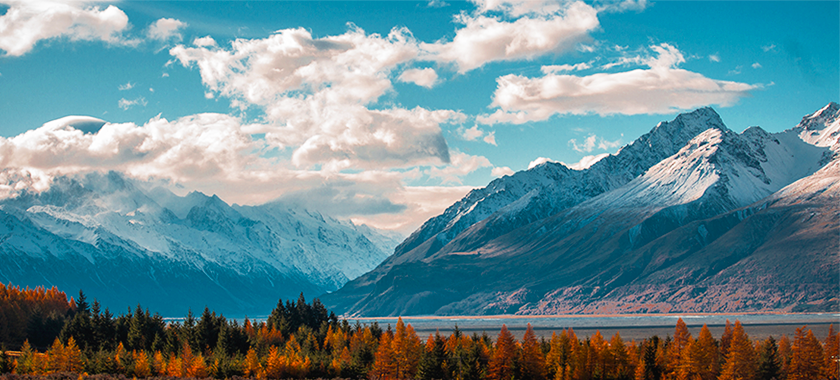 12 CURIOSIDADES SOBRE A NOVA ZELÂNDIA - Blog SR Siape